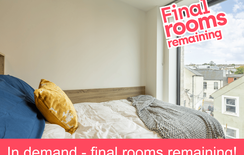 Superior En Suite, Broga House, Washington Street Cork, City Centre, Cork - Image 1